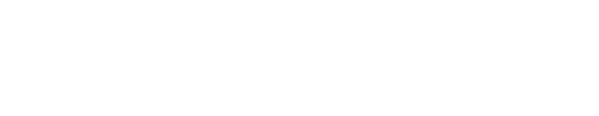AleMagna Motori
